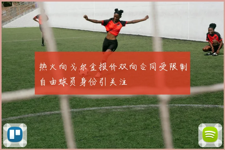 热火向戈尔金报价双向合同受限制自由球员身份引关注